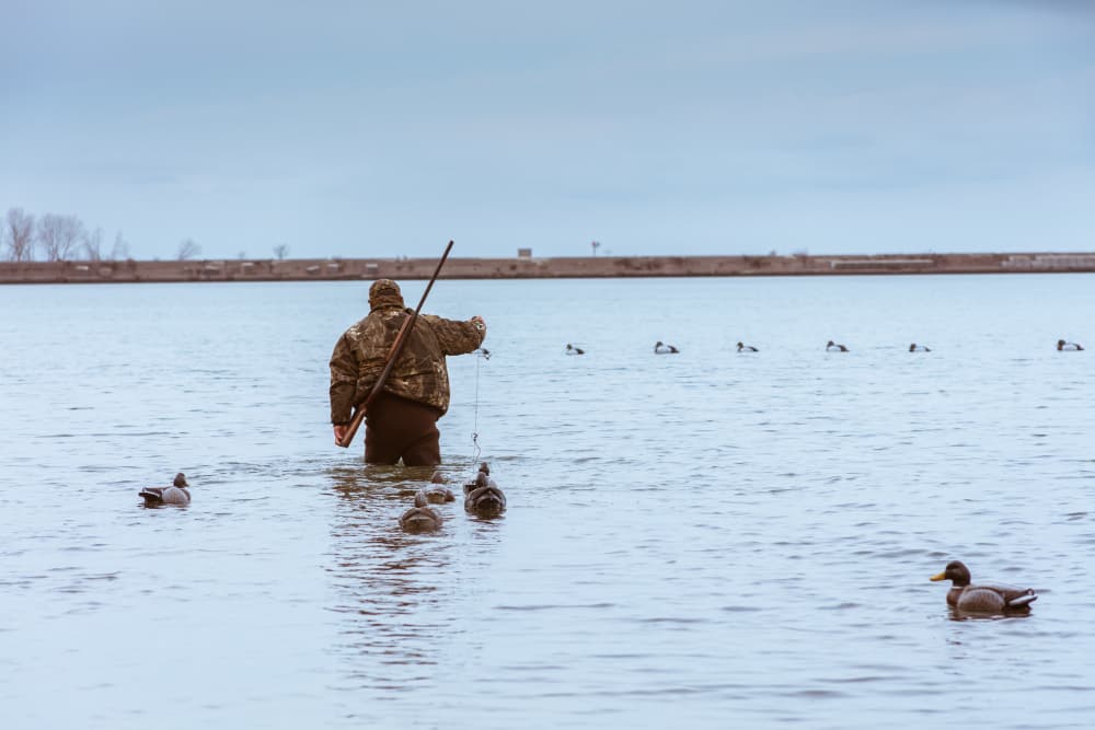 The Ultimate Guide to Hunting in the United States: Tips and Tricks