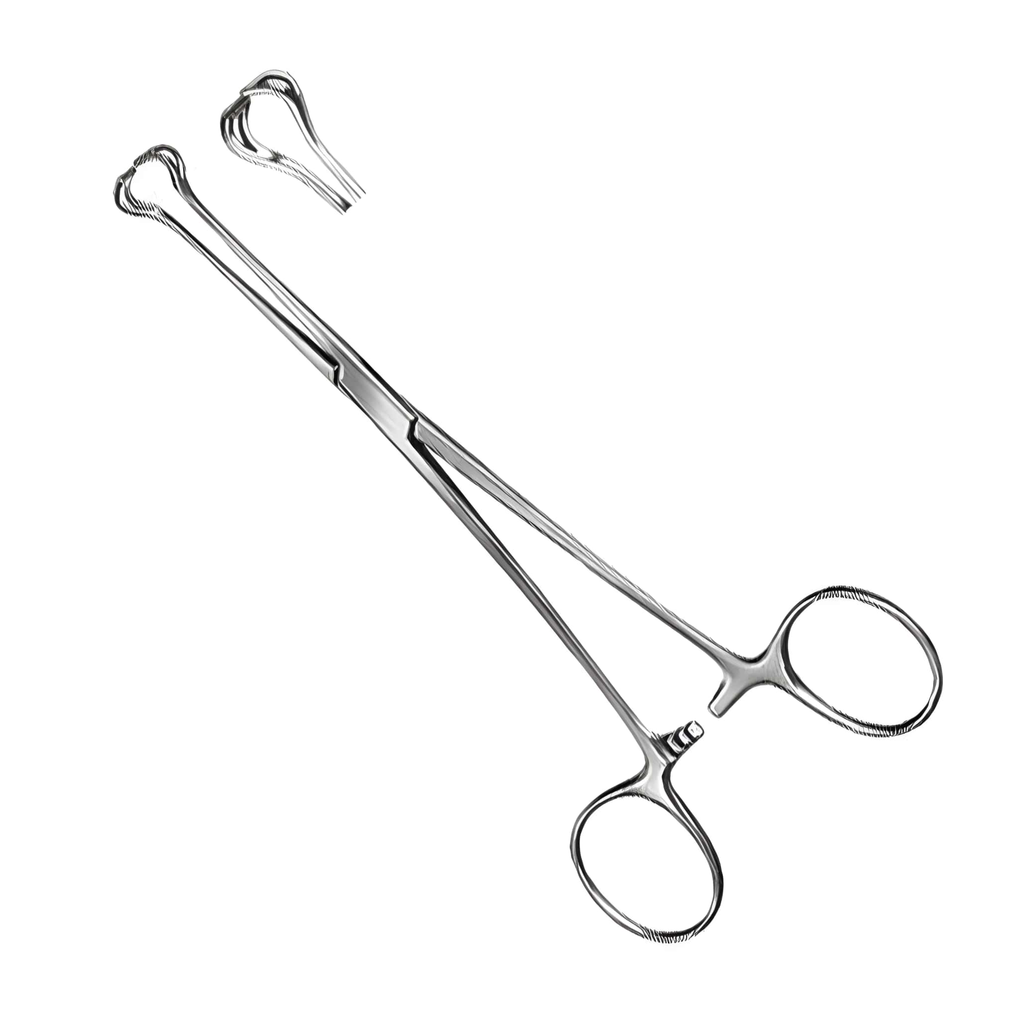 Babcock Tissue Forcep Stainless Steel 6.5 Inch