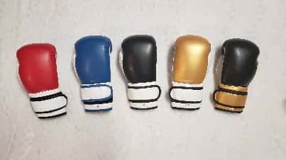Boxco Impex 4 oz Artificial Leather Boxing Gloves – Padded Training Gloves Sold as a Pair